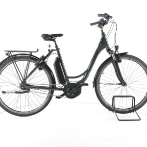 Raleigh Jersey Plus 2022