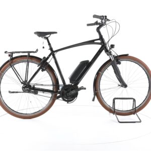 Riese & Müller Swing vario 2022