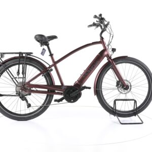 Electra Bicycle Townie Path Go! 2021