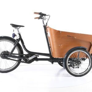 Babboe Flow Mountain 2021