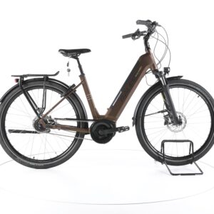 Raleigh Bristol XXL 2022