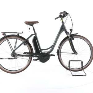 Raleigh Cardiff LB Plus 2022