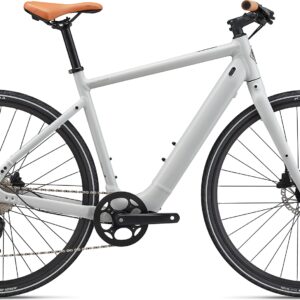 Momentum Voya E+ 3 - Lunar | S | SG & ANT+ Display kompatibel