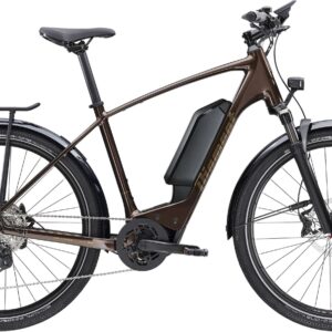 Diamant Zing Deluxe Gen 2 Einstieg hoch - 2024 - XL | 800