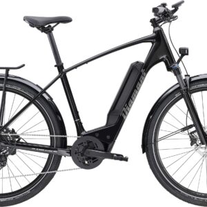 Diamant Zing Gen 2 Einstieg hoch - 2024 - XL | 400