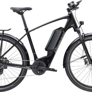 Diamant Zing Gen 2 Einstieg hoch - 2024 - XL | 800