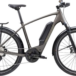 Diamant Zing Super Deluxe Gen 2 Einstieg hoch - 2024 - L | Bosch Purion 200 | 545