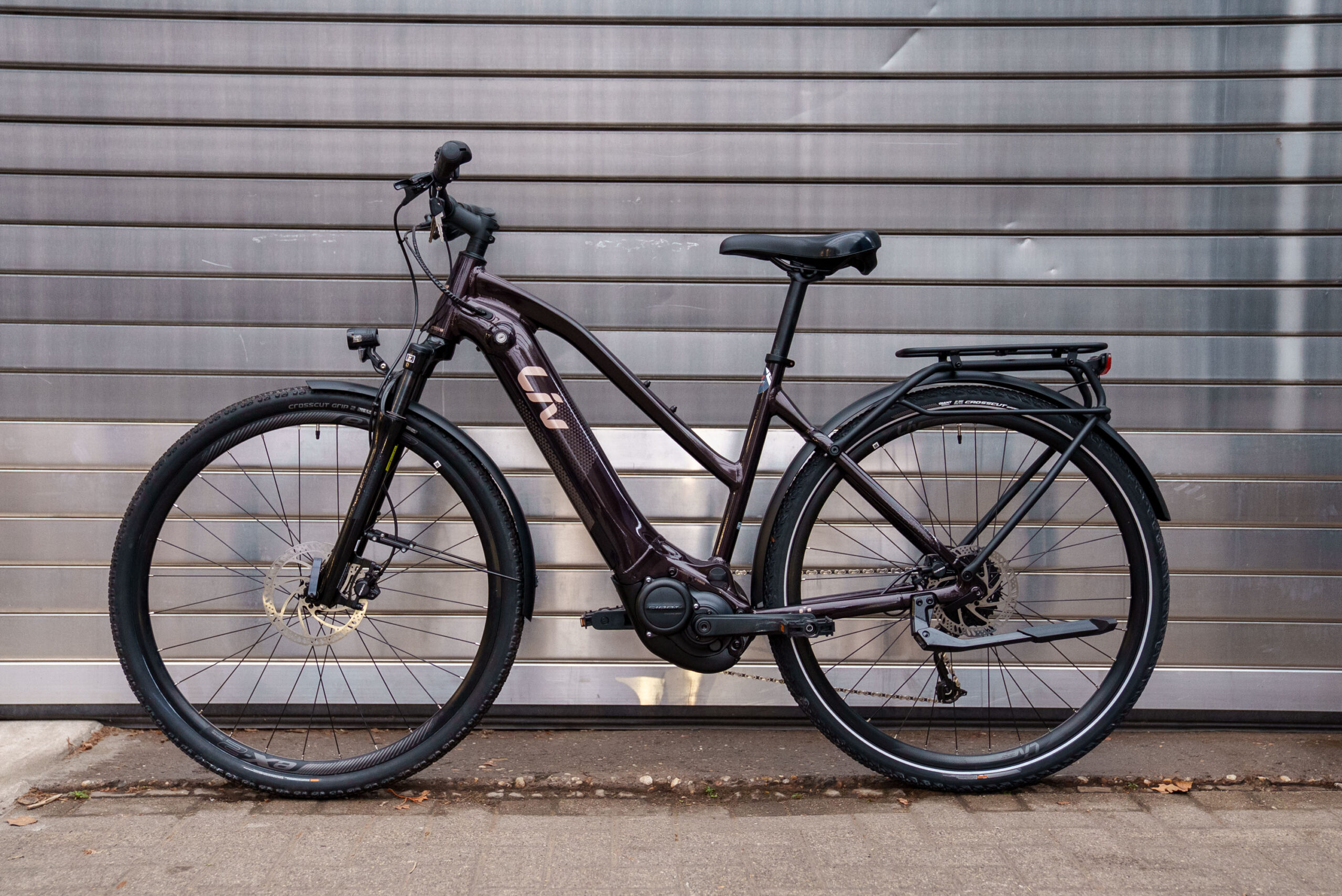 Liv Amiti-E+ 2 RC Dash - 2022 (Größe M) B-Ware – Bild 2