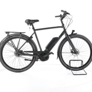 Batavus Dinsdag E-go 2022