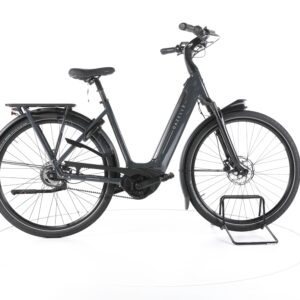 Gazelle Arroyo Elite 3.0 C5 2024