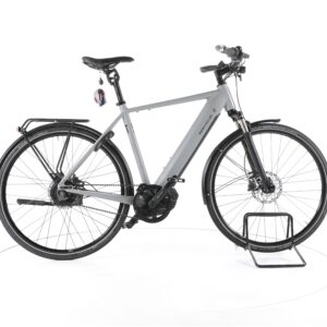 Riese & Müller Roadster Vario 2022