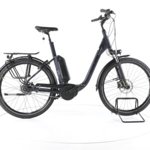 Raleigh Kingston 8 XXL 2022