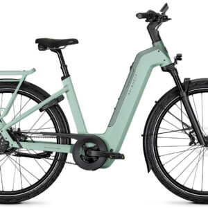 Kalkhoff IMAGE 5+ ADVANCE sagegreen / deepsage matt 29" 800 Wh Wave