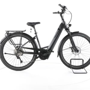 Pegasus Strong Evo 10 2022