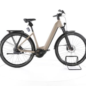 Rose MAYOR PLUS 3 2024