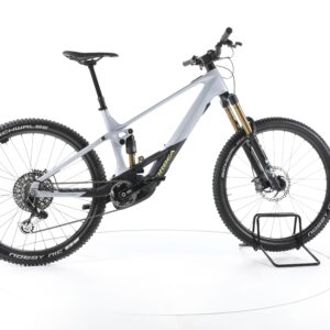 Orbea Wild M-LTD 2024