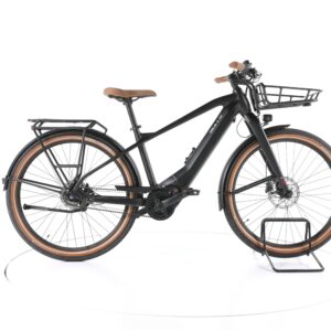 Bulls Sturmvogel 5F 2022