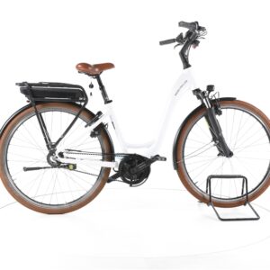 Riese & Müller Swing 3 Rücktritt 2022