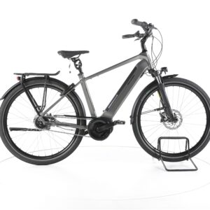 Raleigh Bristol XXL 2022