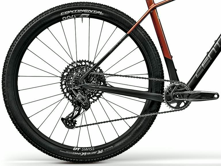 Mountainbike Centurion Backfire Carbon 3000 SM/43 cm frei Haus – Bild 2