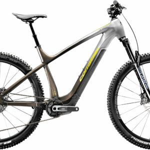 Corratec E-POWER X-VERT EL Brown/Silver/Green 29" 400 Wh Diamant