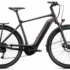 Giant DAILYTOUR E+ 3 GTS Rosewood Matt-Gloss 28" 500 Wh Diamant