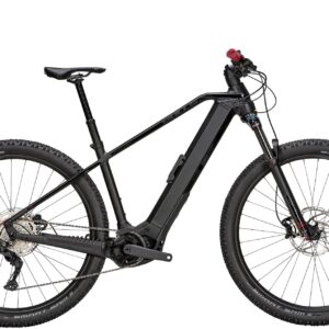 Bulls Sonic EVO 1 29'' 750 Wh schwarz 2024