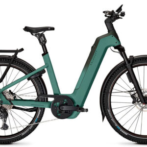 Kalkhoff ENTICE 5+ EXCITE ABS mineralgreen / huntsmengreen matt 29" 800 Wh Wave
