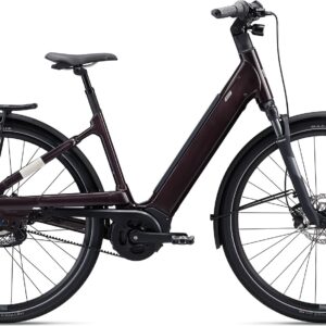 Liv Allure E+ 1 - 2024 - Rosewood | XS