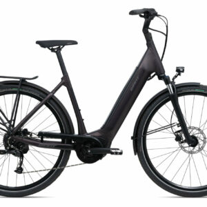 Giant DAILYTOUR E+ 3 LDS Rosewood Matt-Gloss 28" 500 Wh Wave