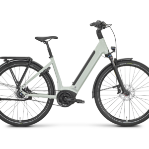 ROSE Xtra Watt Plus 2 LowStep