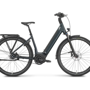 ROSE Xtra Watt Plus 2 LowStep