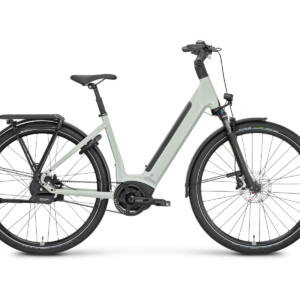 ROSE Xtra Watt Plus 3 LowStep