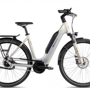 2R Manufaktur ELX 5 Wave | gold grey/black/dark red | 46 cm | E-Cityräder