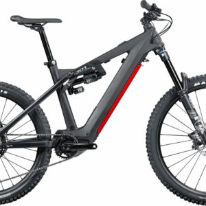 Liteville 301CE Mk2 Elite Carbon UD matt 29"/27;5" 725 Wh Diamant