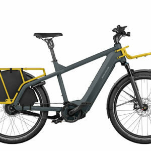 Riese & Müller MULTICHARGER2 GT VARIO grey/curry 26" 750 Wh Diamant