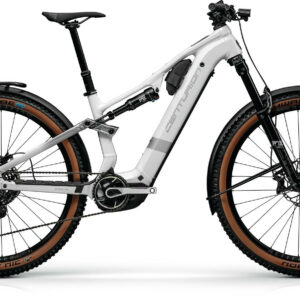 Centurion NUMINIS R2000 EQ Wolkenweiß 29" 800 Wh Diamant