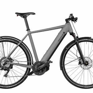Riese & Müller ROADSTER4 TOURING grey matt 28" 625 Wh Diamant