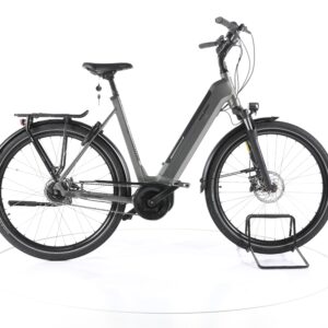 Raleigh Bristol XXL 2022