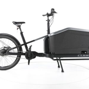 Cube Cargo Dual Hybrid 1000 2022