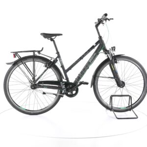 Green's Dundee ALL4Y 2020