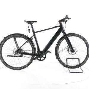 Riese & Müller UBN Five 2022