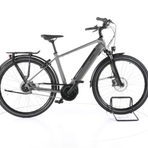Raleigh Bristol XXL 2021