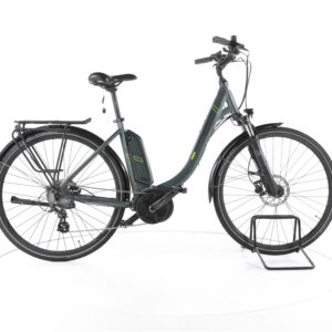 Triumph E Bird Plus 2022