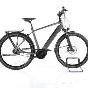 Raleigh Bristol XXL 2022