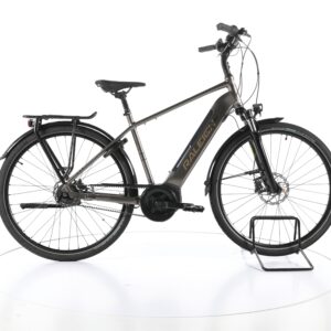 Raleigh Bristol Premium 2022