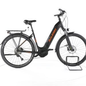 Raleigh Dundee LTD 2022