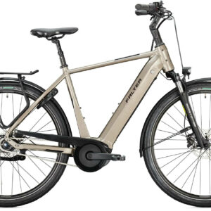 Falter E 9.4 RT sublime grey, glossy 28" 500 Wh Diamant