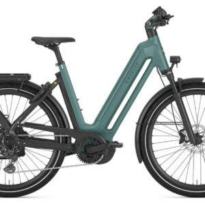 Gazelle Eclipse T11 HMB thyme green matte 27;5" 750 Wh Wave