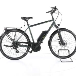 Triumph E-Bird Plus Trekking E-Bike